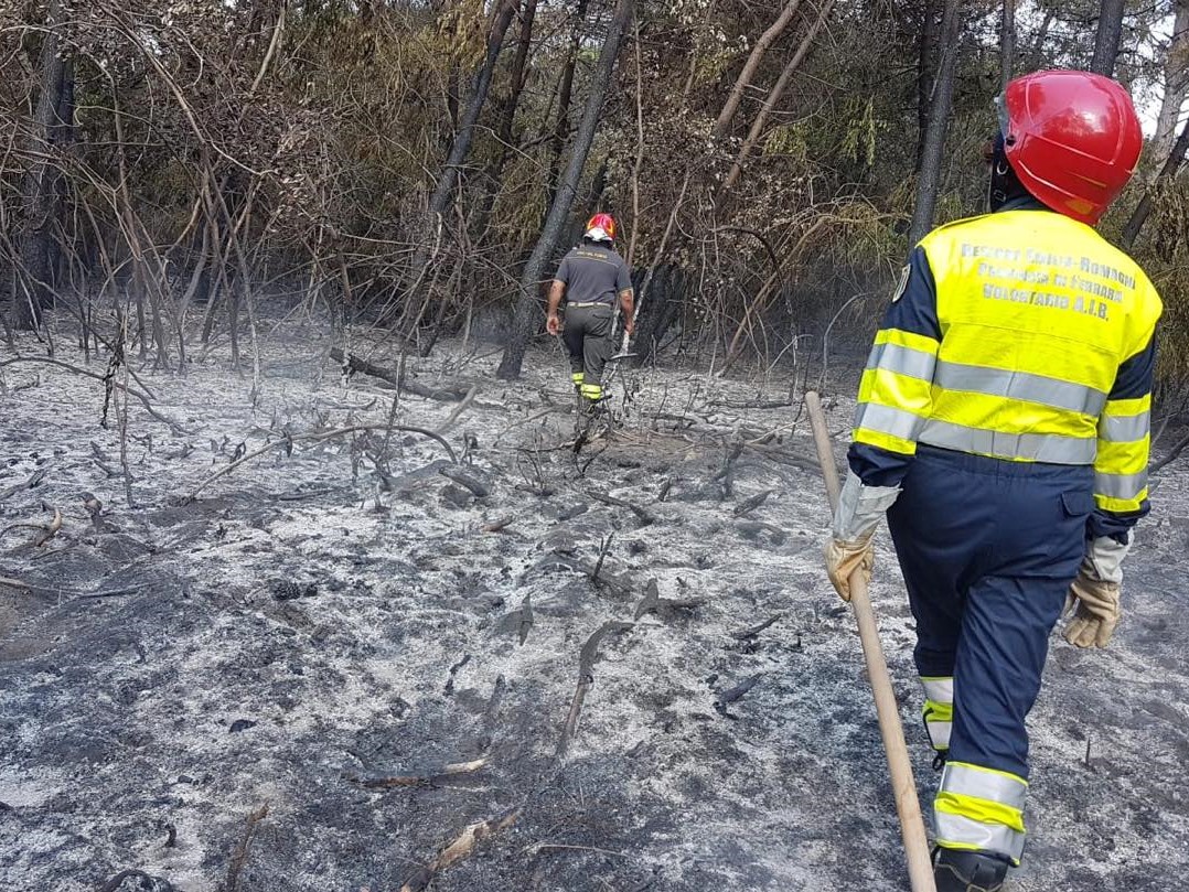 ANTINCENDIO BOSCHIVO - AIB